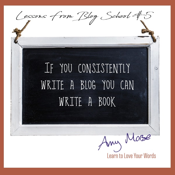 Blog School Lessons - if you can write a blog you can write a book