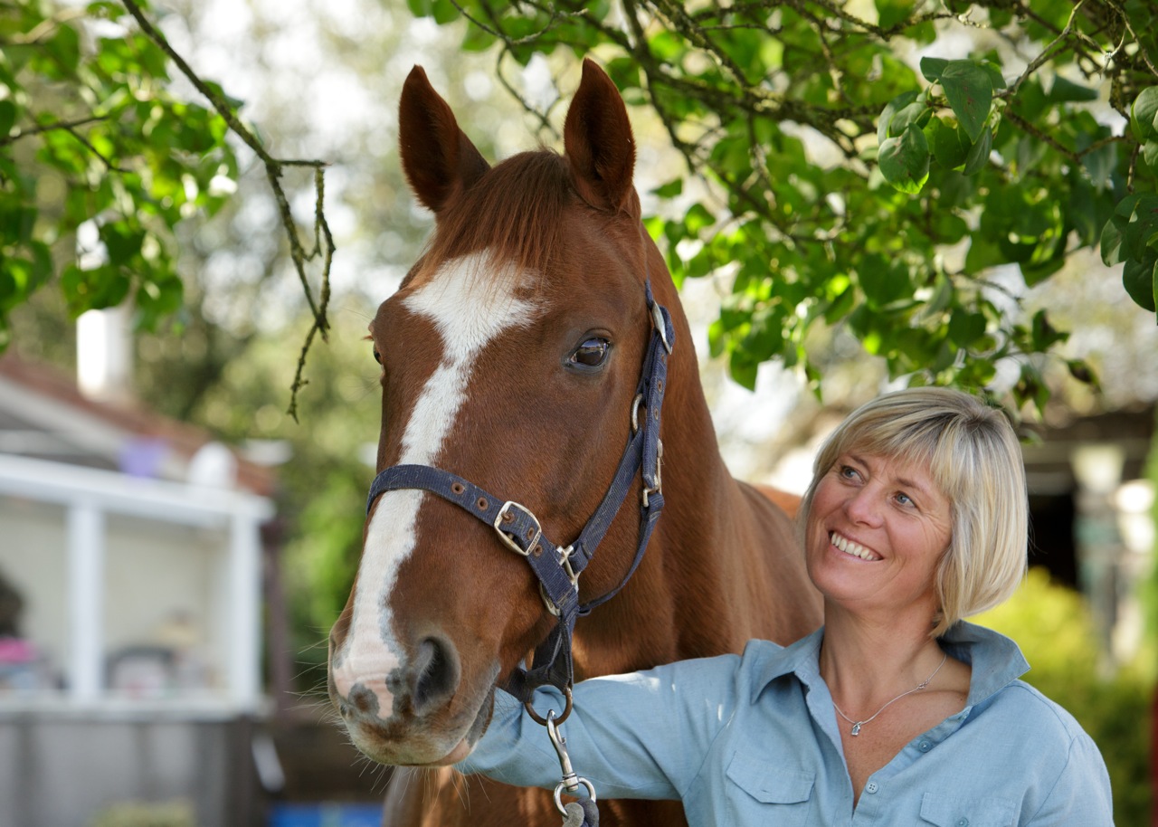 Rosie Withey Horses As Teachers Equine Facilitated coaching