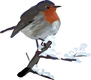 A resident Robin singing regardless of who listens