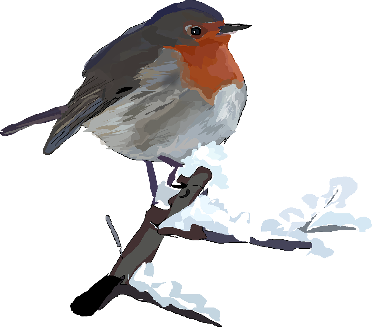 A resident Robin singing regardless of who listens