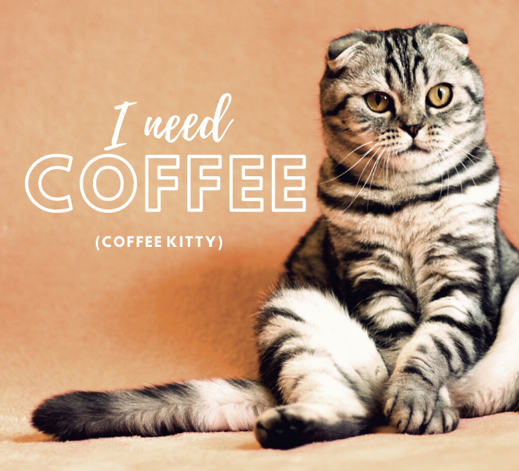 Top up the coffee kitty