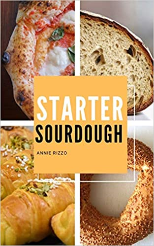 sourdough starter book