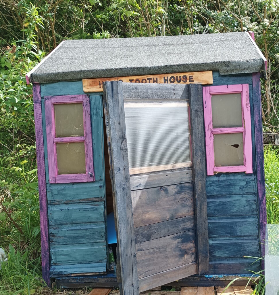 exterior of hen's tooth house Wendy house shed conversation
 